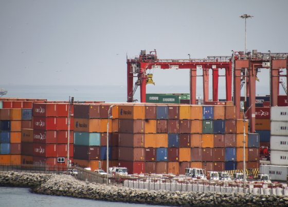 Perú exportó al mundo casi US$ 7,000 millones en frutas y hortalizas en 11 meses del 2025