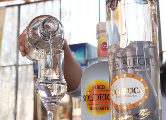 Exportaciones de pisco crecieron 12% en 2025 y sumaron US$ 9.5 millones