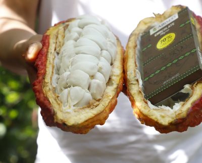 Exportaciones peruanas de cacao y derivados registraron récord histórico en el 2025