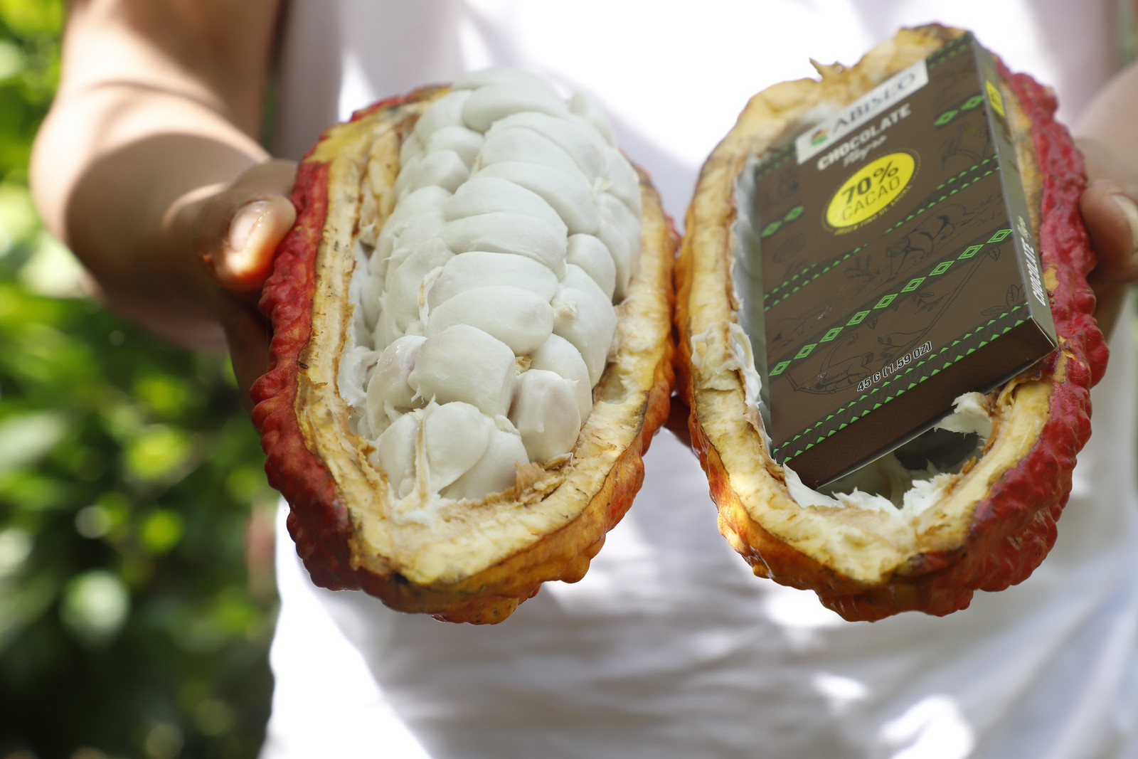 Exportaciones peruanas de cacao y derivados registraron récord histórico en el 2025