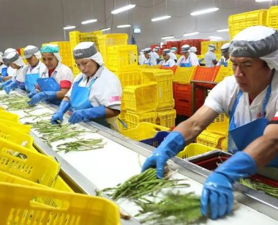 CCL: cerca de 3,8 millones de peruanos tienen un segundo trabajo