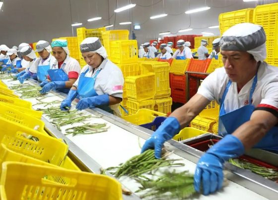 CCL: cerca de 3,8 millones de peruanos tienen un segundo trabajo