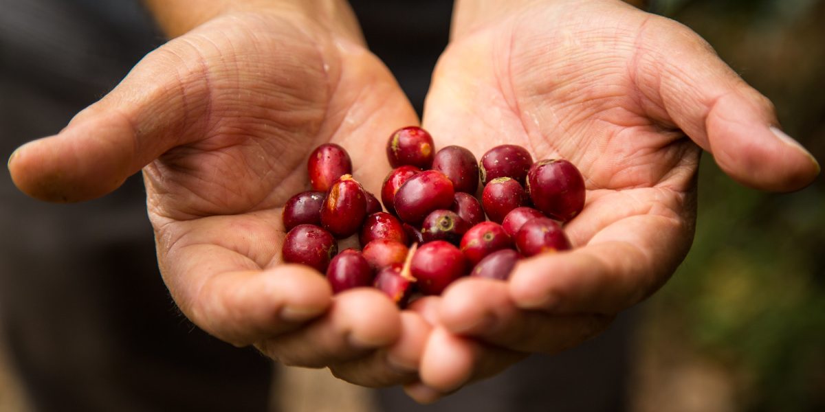 Exportaciones regionales crecen 36,5% en inicio de 2026