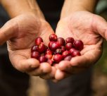 Exportaciones regionales crecen 36,5% en inicio de 2026