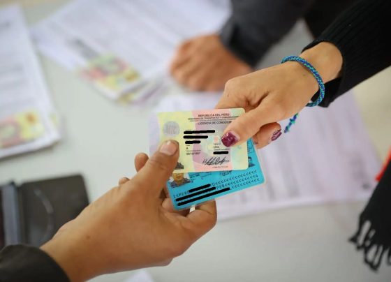 ¿Cuántas licencias fueron canceladas e inhabilitadas definitivamente por conducir en estado de ebriedad en los últimos 10 años?