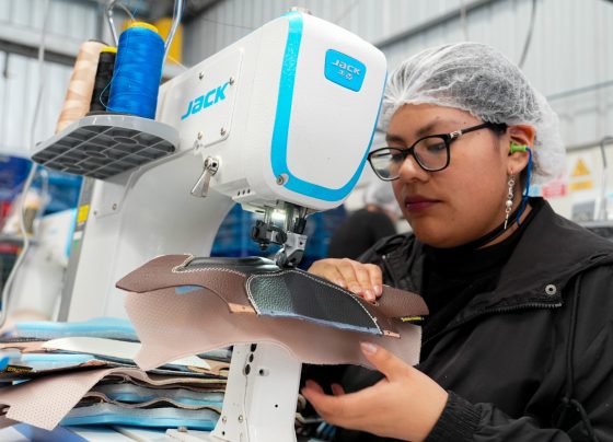 Las MYPE contribuyen con el 20.6 % al PBI y generan 10.3 millones de empleos en el Perú