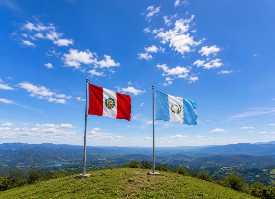 Guatemala y Perú celebran la entrada en vigor del Tratado de Libre Comercio