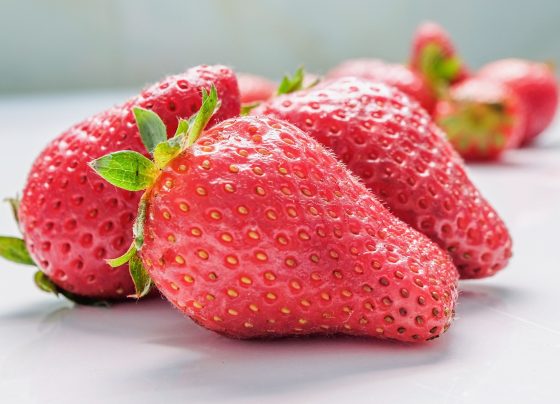 Estados Unidos es el primer comprador de fresa peruana