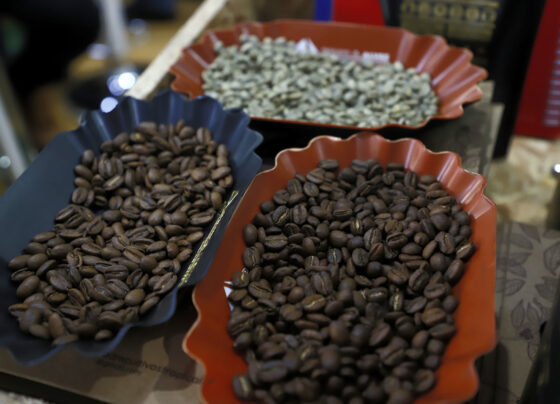 El 59% de las empresas que exportan café peruano son mipymes: envíos superaron los US$ 1.800 millones