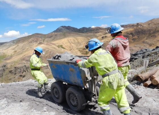 Pequeños mineros podrían acceder a cuentas bancarias con la nueva Ley MAPE
