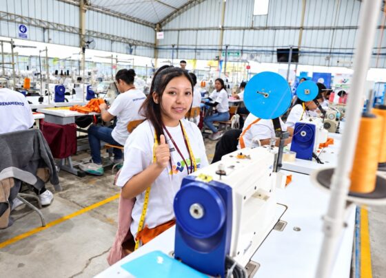 Gobierno impulsa cambios para acelerar el acceso de los jóvenes al empleo formal